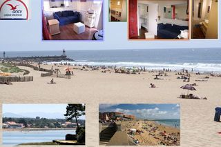 Location  Appartement 