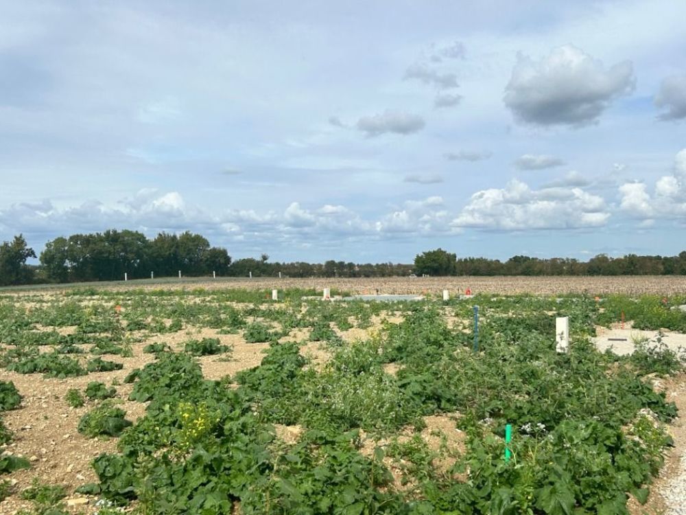   Saint-Jean-de-Liversay (17170)