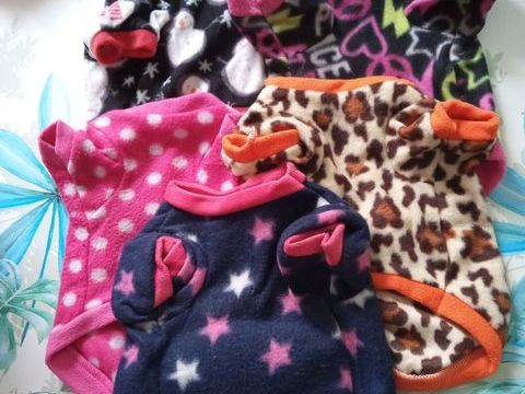 petit pull chien polaire 10 59800 Lille
