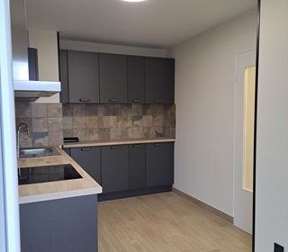  Appartement � louer 3 pi�ces 42 m�