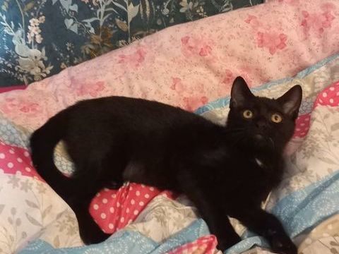 ARMSTRONG 180 27940 Aubevoye