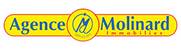 SOCIETE NOUVELLE AGENCE MOLINARD