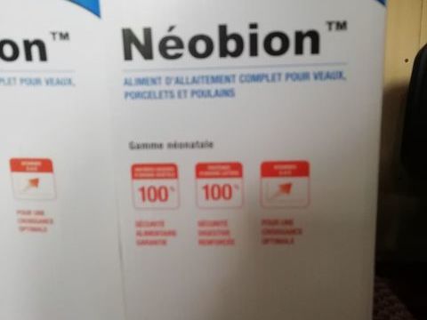 Lait néobion pour poulain /ânon /porcelet /veau 35 29590 Le faou