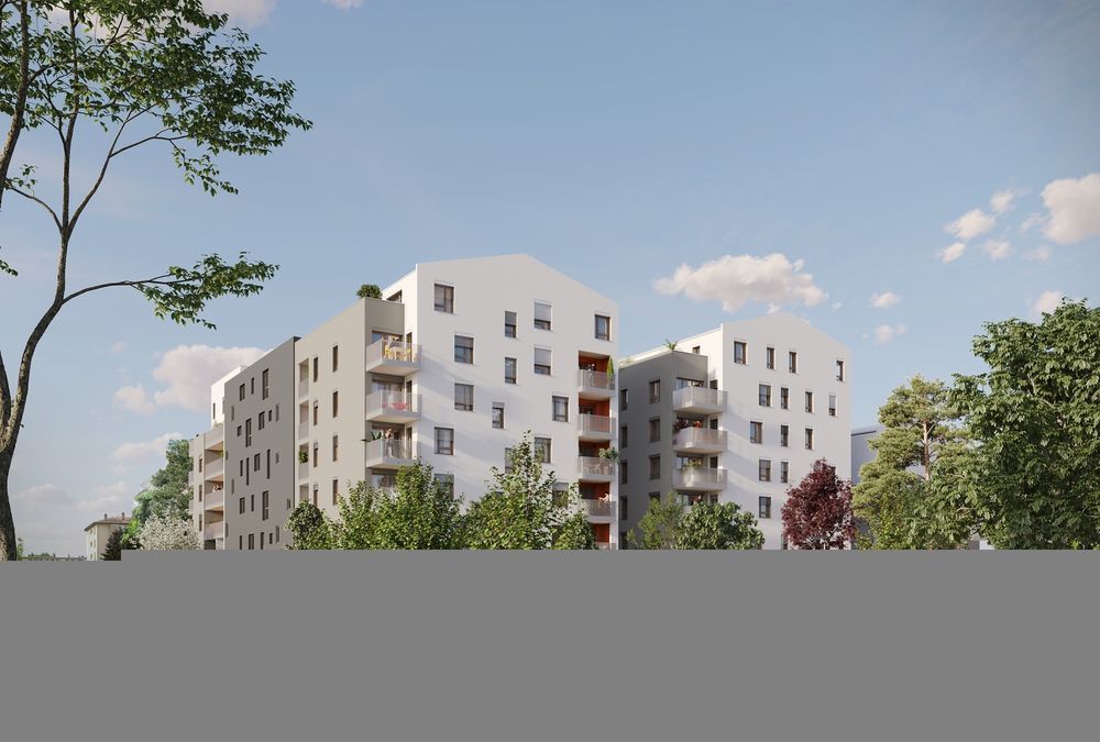   Villeurbanne (69100)