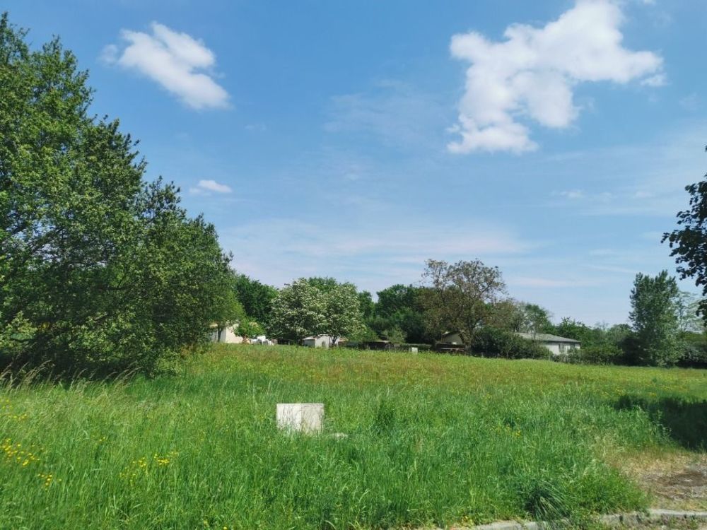 Maisons neuves   Bazas (33430)