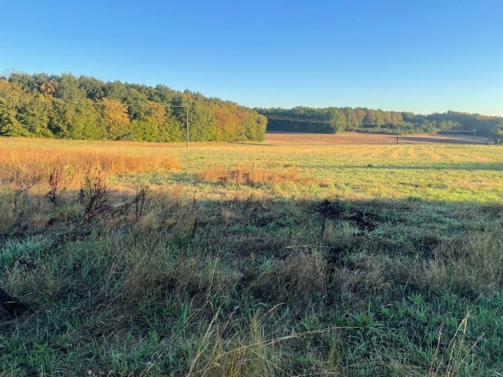   Les Essards (17250)