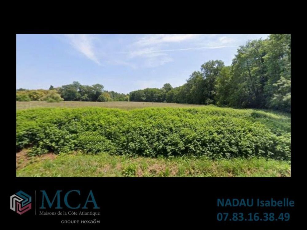 Maisons neuves   Saint-Christoly-de-Blaye (33920)