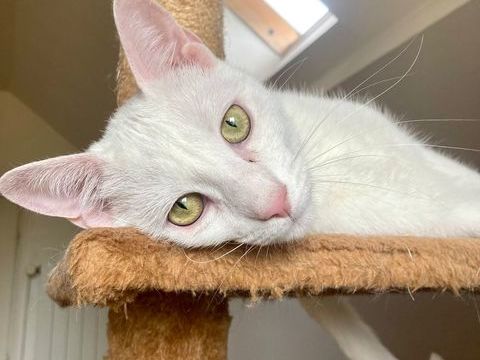 EVANGELINE, la sportive ! accrochez-vous ... 290 92290 Chtenay-malabry