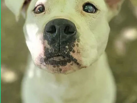 Nalah 230 26700 Pierrelatte