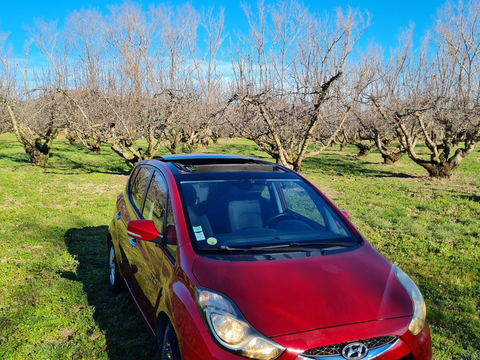 Hyundai iX20 ix20 1.4 CRDi 90 Blue Drive Pack Premium 2011 occasion Malauc&egrave;ne 84340