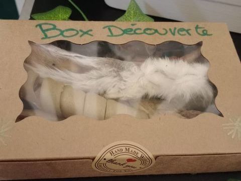 Box découverte mastication 10 86150 Nrignac