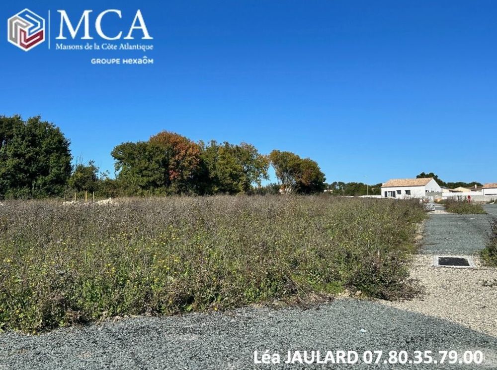   Ardilli�res (17290)