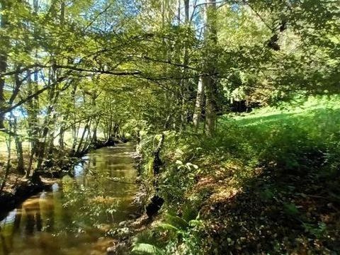   Petite maison 1 hectare de terrain Maison - 3 pi�ce(s) - 50 m�