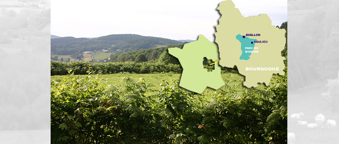 Agence IMMO TRANSACTIONS Avallon