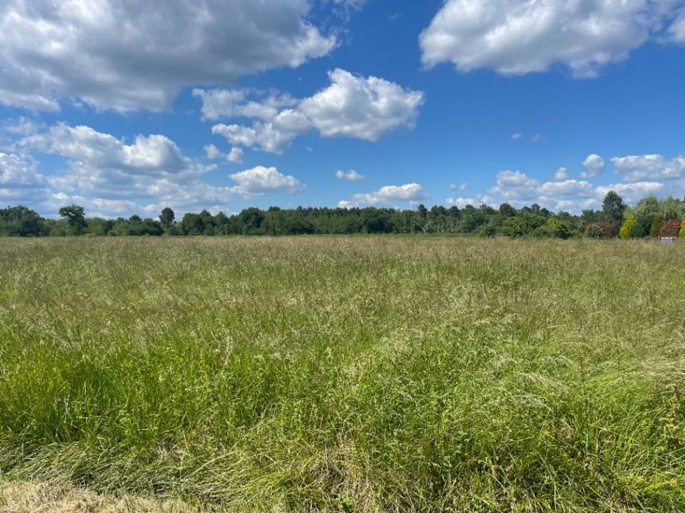 Maisons neuves   Pompjac (33730)