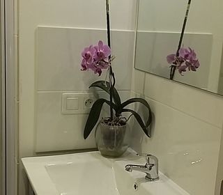  Chambre � louer 1 pi�ce 22 m�