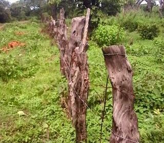  Terrain � vendre 20000 m�