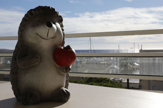  Appartement � louer 2 pi�ces 31 m�