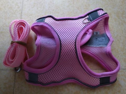 Harnais + laisse pour chien ? 15 34090 Montpellier