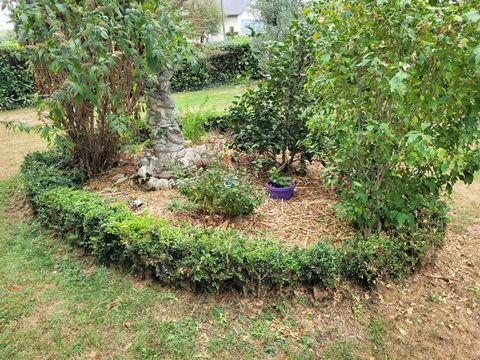  &Eacute;change tortue m&acirc;le 10 ans environ 
Contre femelle 10 &agrave; 15 1 81340 Cadix