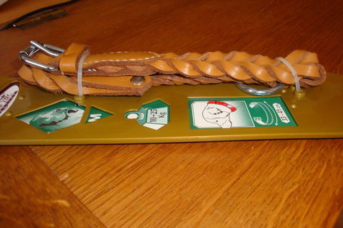 collier pour chien. 10 59890 Quesnoy-sur-deûle