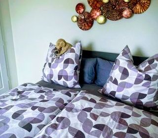 Location  Appartement 