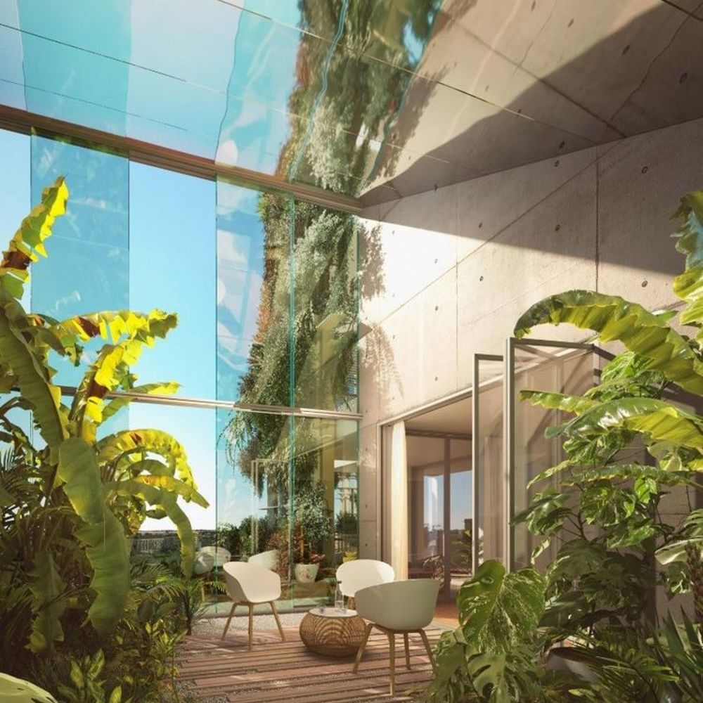 Appartements neufs   Montpellier (34000)