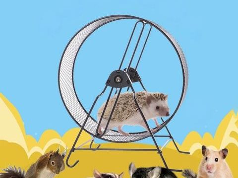 Roue de hamster en m&eacute;tal avec support 12 93250 Villemomble