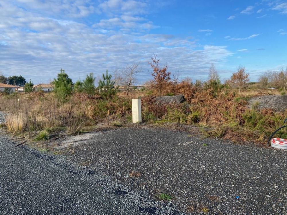 Maisons neuves   Le Porge (33680)