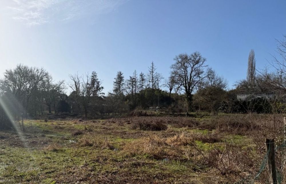 Maisons neuves   Noaillan (33730)