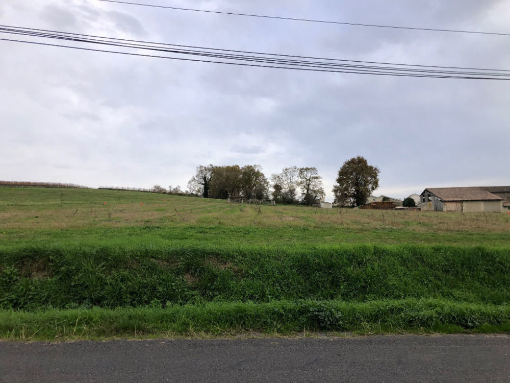 Maisons neuves   Saint-Savin (33920)