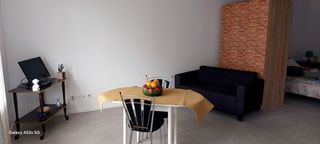  Appartement � louer 1 pi�ce 41 m�