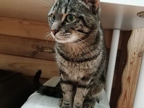 HUBERT 210 92400 Courbevoie