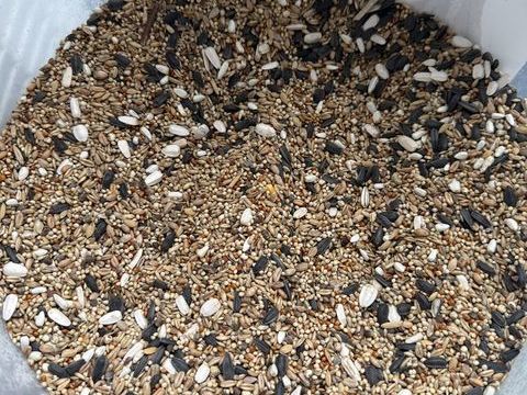 Graine pour bec crochus 3 93330 Neuilly-sur-marne