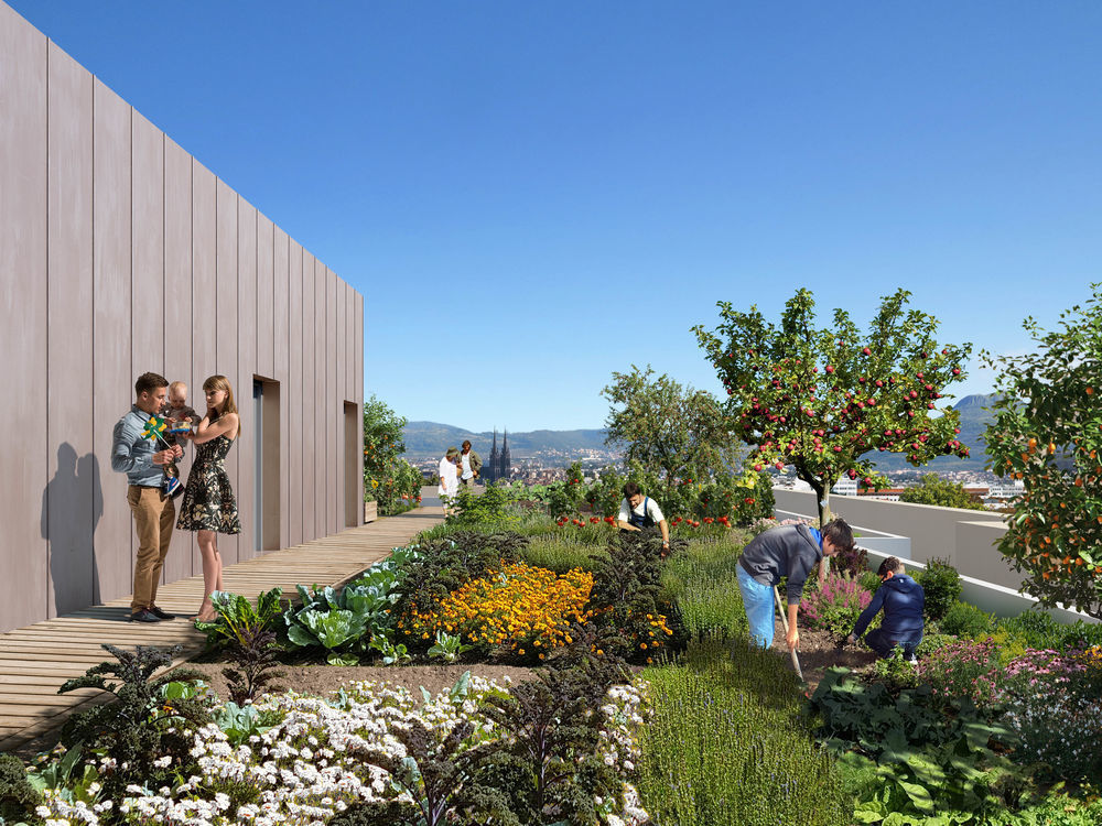 Appartements neufs   Clermont-Ferrand (63000)