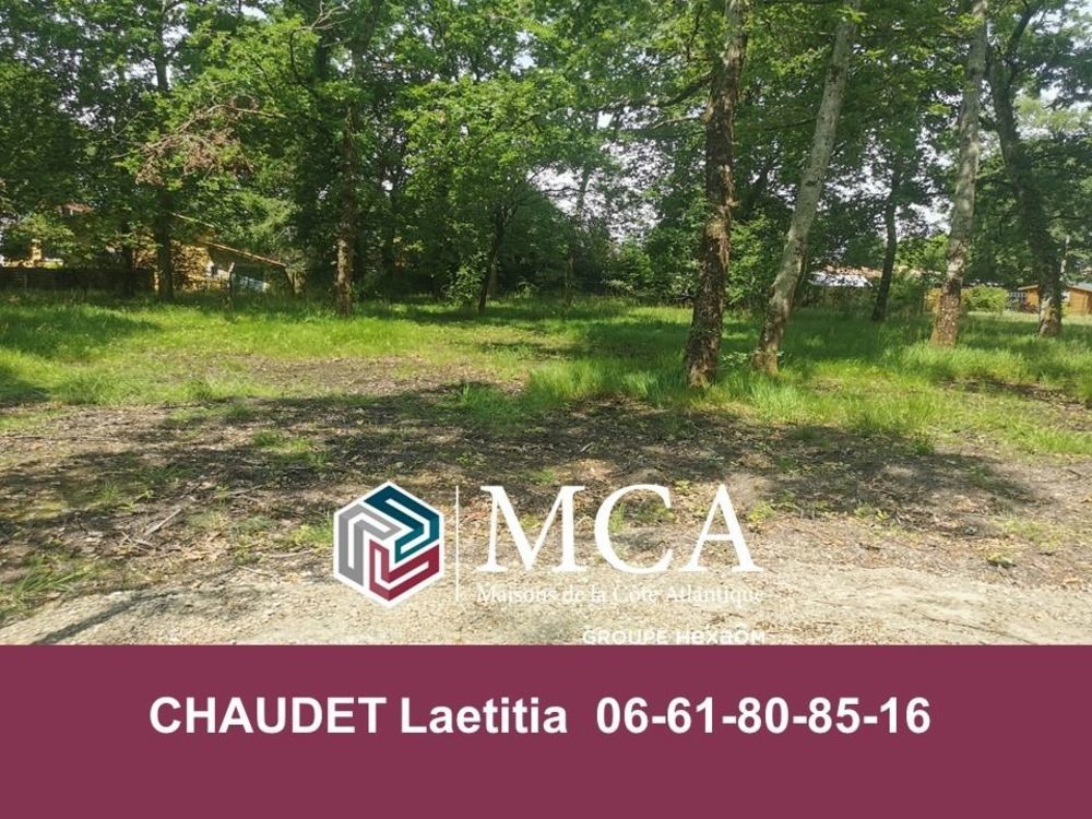 Maisons neuves   Audenge (33980)