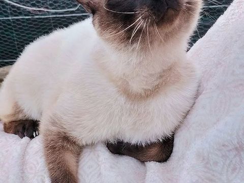 Shun Gon 80 44000 Nantes