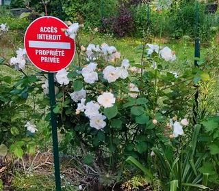  Parking / Garage � louer 20 m�