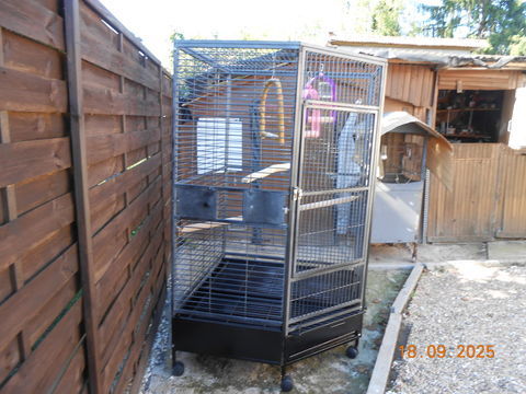 cage a perroquet xxl 450 24000 Prigueux