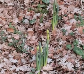  Terrain � vendre 3209 m�