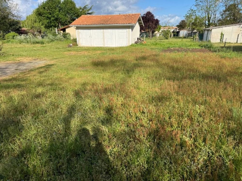Maisons neuves   Lesparre-Médoc (33340)
