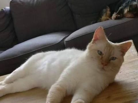 Fantôme 100 76000 Rouen