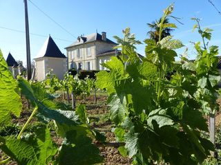  Propri�t�/ch�teau � vendre 10 pi�ces 400 m�