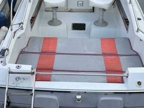 Bateaux &agrave; moteur P&ecirc;che-promenade 1988 occasion Mandelieu-la-Napoule 06210