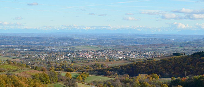 MONGESTIMMOBILIER, agence immobilire 69