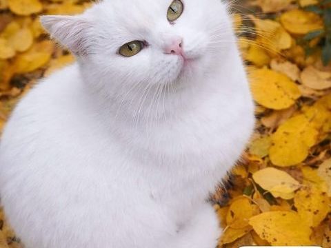 EVIE SE TROUVE DANS UN REFUGE EN UKRAINE 0 75018 Paris