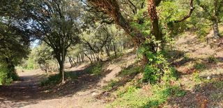  Terrain � vendre 536 m�