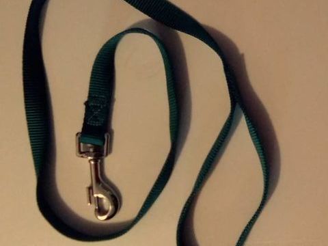 Laisse Courte Chien / Chiot - Taille M 15 62510 Arques