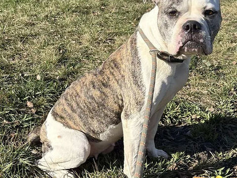 McKenna 50 26700 Pierrelatte