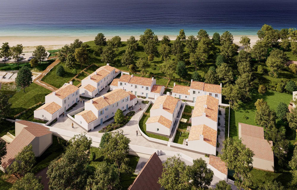 Maisons neuves   L'�pine (85740)